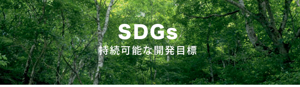 SDGs タイトル